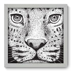 Quadro Decorativo - Leopardo - 33cm X 33cm - 137qdsb