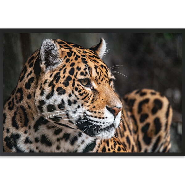 Quadro Decorativo Leopardo Moldura Sem Vidro Preto