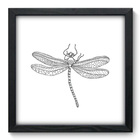Quadro Decorativo - Libélula - 33cm X 33cm - 071qdsp
