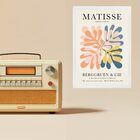 Quadro Decorativo Matisse Corais Sobrepostos 24x18cm Moldura