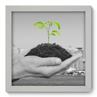 Quadro Decorativo - Meio Ambiente - 22cm X 22cm - 067qndab