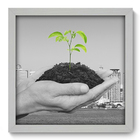 Quadro Decorativo - Meio Ambiente - 33cm X 33cm - 067qndbb