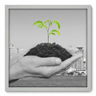 Quadro Decorativo - Meio Ambiente - 50cm X 50cm - 067qndcb