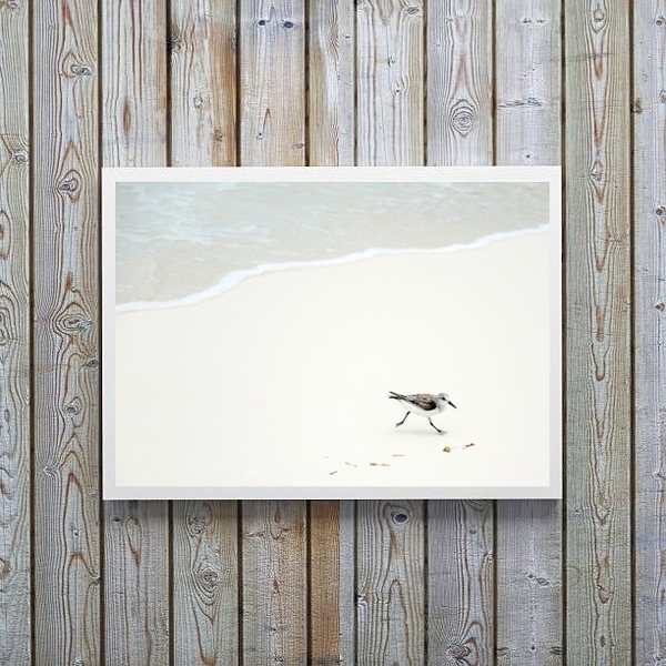 Quadro Decorativo Minimalista- Mar Pássaro Branco 33x24cm Mol