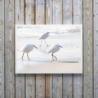 Quadro Decorativo Minimalista- Passarinhos Brancos 33x24cm -