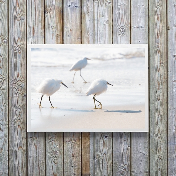 Quadro Decorativo Minimalista- Passarinhos Brancos 33x24cm Mo