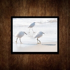 Quadro Decorativo Minimalista- Passarinhos Brancos 33x24cm Mo