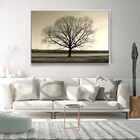 Quadro Decorativo Moderno Arvore Galhos Secos Com Moldura E S