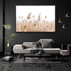Quadro Decorativo Moderno Capim Rabo De Raposa Com Moldura E