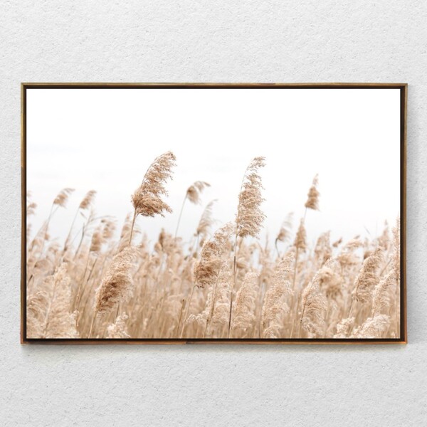 Quadro Decorativo Moderno Capim Rabo De Raposa Com Moldura E