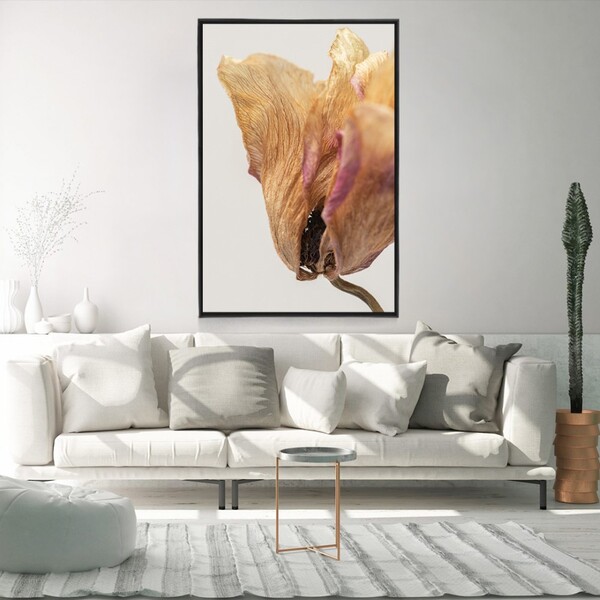 Quadro Decorativo Moderno Flor Seca Com Moldura E Sem Vidro 9