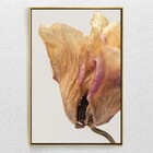 Quadro Decorativo Moderno Flor Seca Com Moldura E Sem Vidro 9