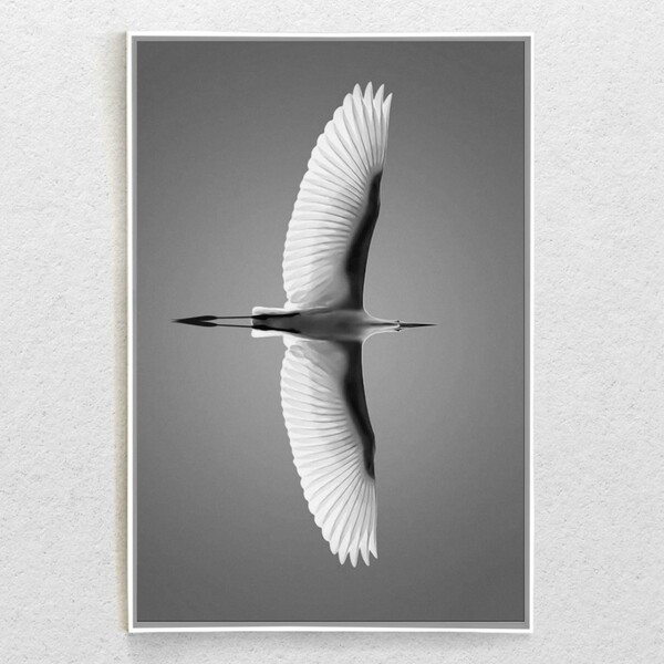 Quadro Decorativo Moderno Paisagem Voo Da Garça Com Moldura 9