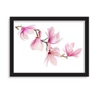 Quadro Decorativo Mognolia Rosa