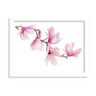Quadro Decorativo Mognolia Rosa