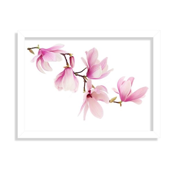 Quadro Decorativo Mognolia Rosa