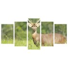 Quadro Decorativo Mosaico Tendenci Animais - Hello Deer