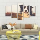 Quadro Decorativo Mosaico Tendenci Animais - Insta Border