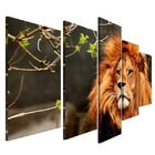 Quadro Decorativo Mosaico Tendenci Animais - Juba Real