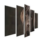 Quadro Decorativo Mosaico Tendenci Animais - Lovely Labrador
