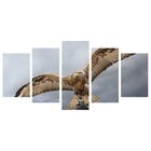 Quadro Decorativo Mosaico Tendenci Animais - The Hawk