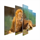 Quadro Decorativo Mosaico Tendenci Animal Royal Serenity - 13