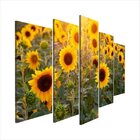 Quadro Decorativo Mosaico Tendenci Floral - Sunflower