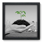 Quadro Decorativo - Muda - 33cm X 33cm - 340qddp