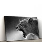 Quadro Decorativo Nature Leoa  Sala Ou Quarto