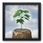 Quadro Decorativo - Natureza - 33cm X 33cm - 345qddp