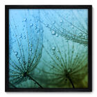 Quadro Decorativo - Natureza - 50cm X 50cm - 035qndcp