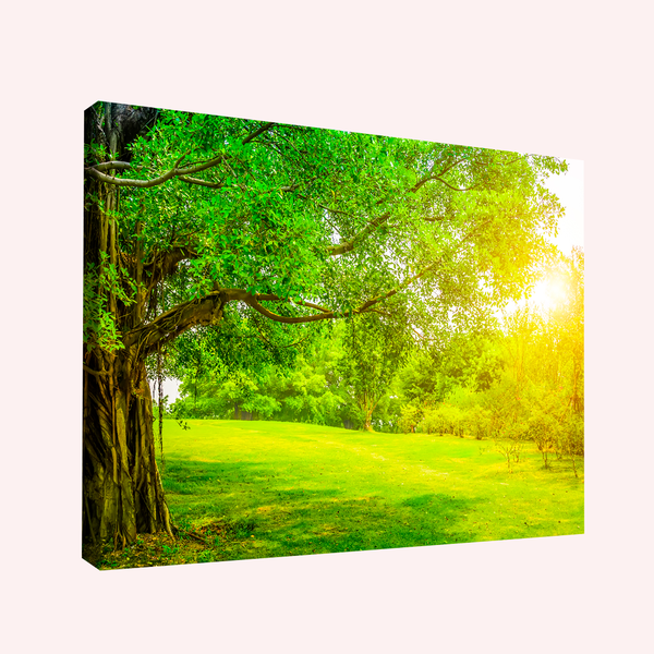 Quadro Decorativo Natureza Bela -- Br Artes