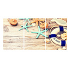 Quadro Decorativo Nautico Bóia Estrela Bege 70x150 Trio