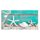 Quadro Decorativo Nautico Praia Conchas Estrela Branca 55x100