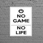 Quadro Decorativo No Game No Life 24x18cm Moldura:madeira Bra