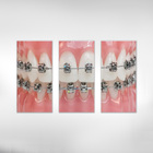 Quadro Decorativo Odontologia Dentista Varias Peças M2