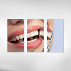 Quadro Decorativo Odontologia Dentista Varias Peças M7