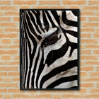 Quadro Decorativo Olho Zebra Fechado  - 70x50cm Moldura Preta