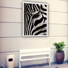 Quadro Decorativo Olho Zebra Fechado  - 70x50cm Moldura Preta