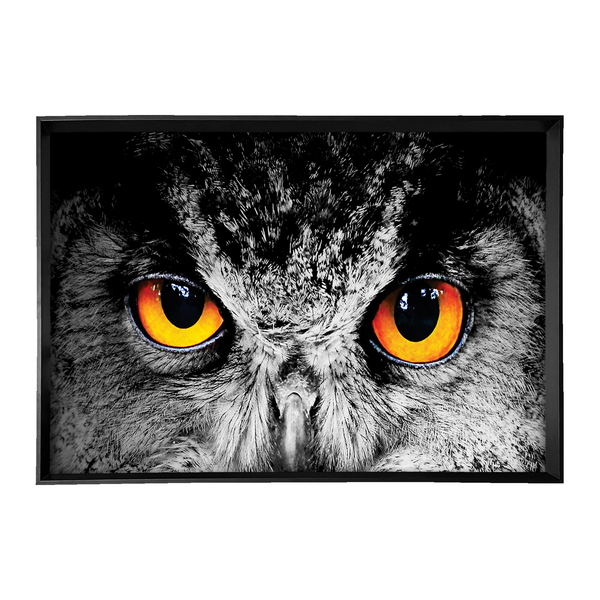 Quadro Decorativo Olhos de Coruja com Moldura Preto 70x100cm Arte Própria
