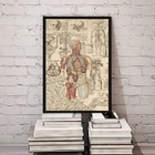 Quadro Decorativo Órgãos Corpo Humano Vintage 33x24cm Moldura
