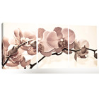 Quadro Decorativo Orquidea Bege Rosada 70x150 Trio