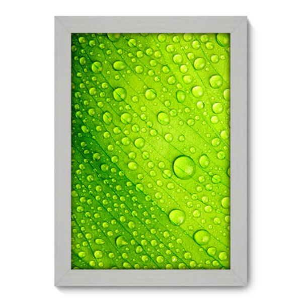 Quadro Decorativo - Orvalho - 25cm X 35cm - 036qnfbb