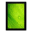 Quadro Decorativo - Orvalho - 25cm X 35cm - 036qnfbp