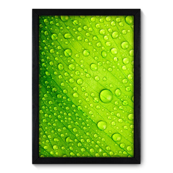 Quadro Decorativo - Orvalho - 35cm X 50cm - 036qnfcp