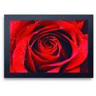 Quadro Decorativo Paisagem 01 Rosa Vermelha  30x45cm