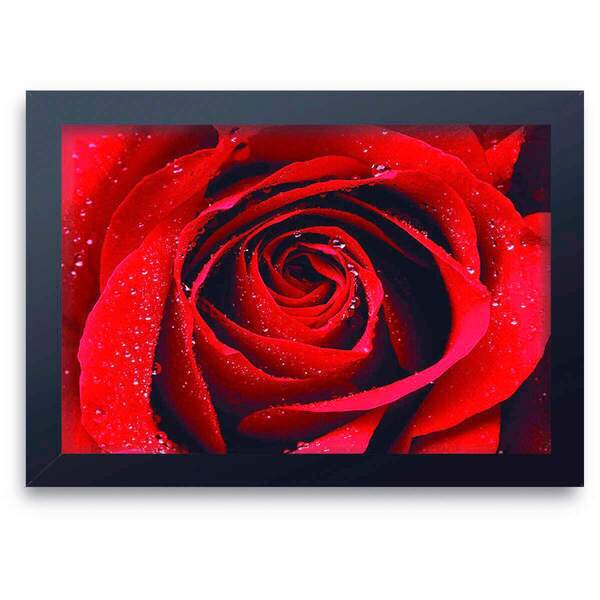 Quadro Decorativo Paisagem 01 Rosa Vermelha  30x45cm