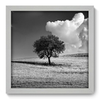 Quadro Decorativo - Paisagem - 33cm X 33cm - 087qdpb