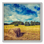 Quadro Decorativo - Paisagem - 70cm X 70cm - 003qnpdb