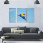 Quadro Decorativo Paisagem Arara Amarela 3 Peças